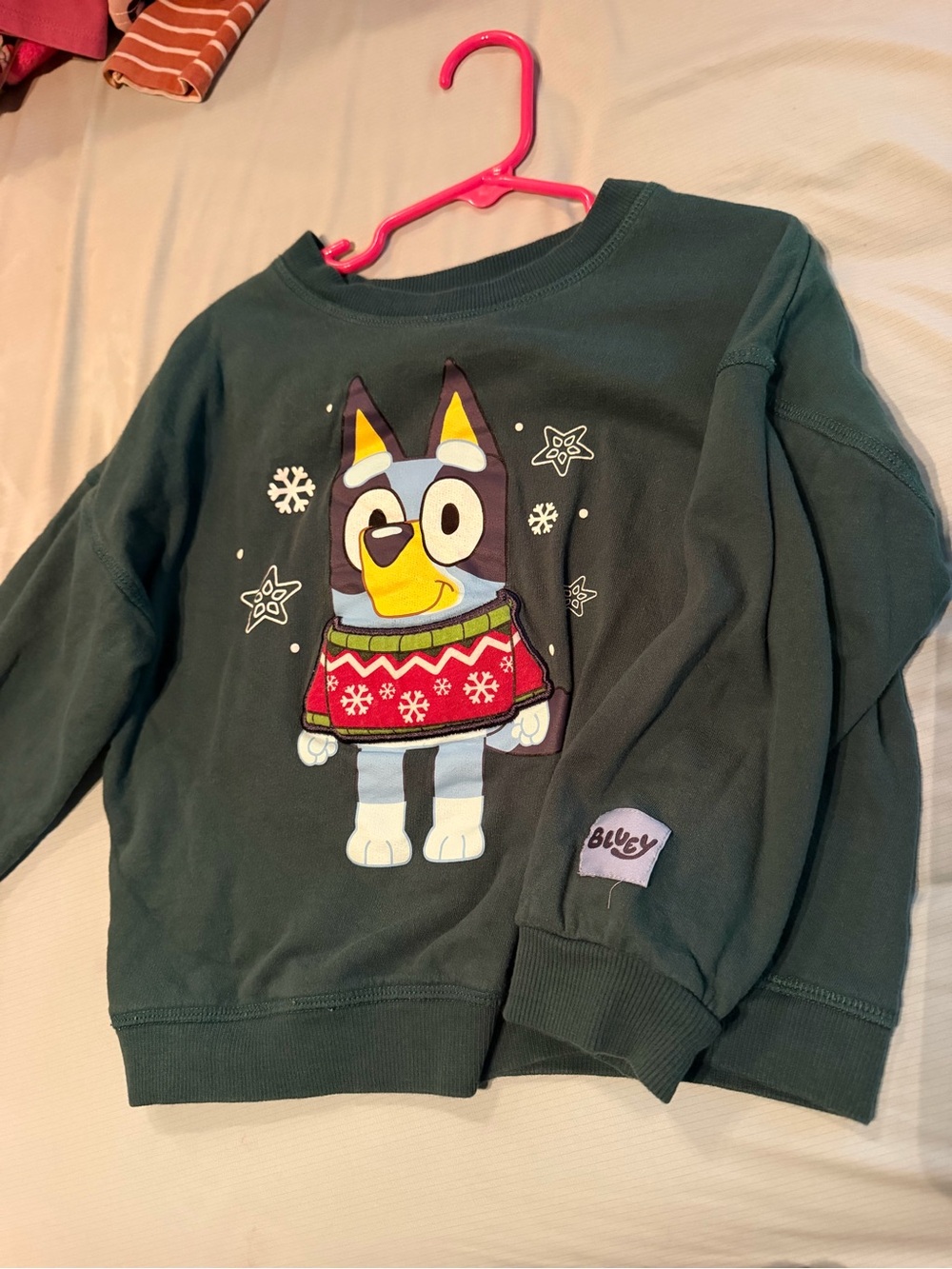 Kids Dark Green Pullover Sweatshirt with Festive Bluey Graphic
